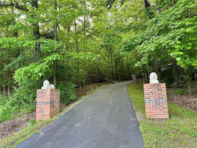 3501 River Ridge Rd, Pfafftown, NC 27040 - view of street featuring a wooded view