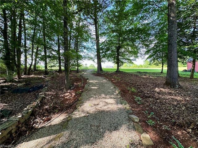 3501 River Ridge Rd, Pfafftown, NC 27040 - view of yard