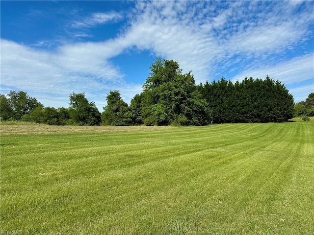 3501 River Ridge Rd, Pfafftown, NC 27040 - view of grassy yard