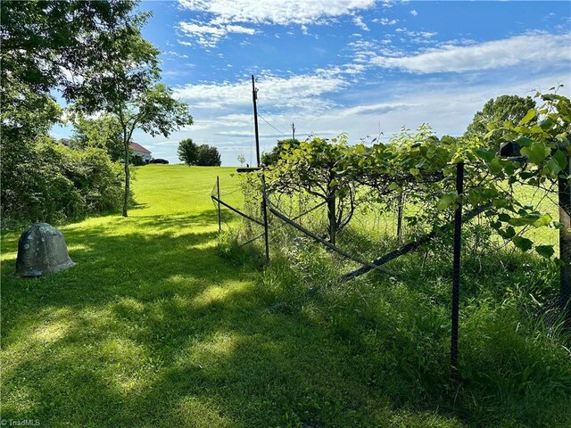 3501 River Ridge Rd, Pfafftown, NC 27040 - view of grassy yard