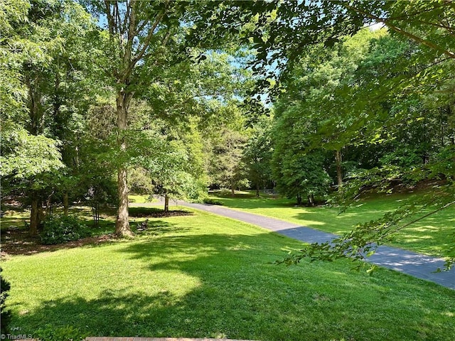 3501 River Ridge Rd, Pfafftown, NC 27040 - view of home's community featuring a yard