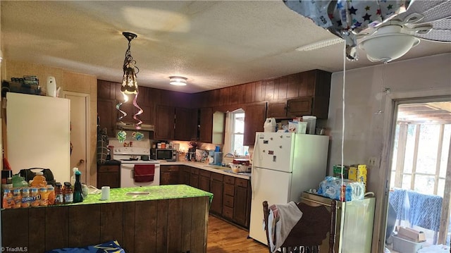 kitchen featuring white appliances, a healthy amount of sunlight, light hardwood / wood-style floors, and kitchen peninsula