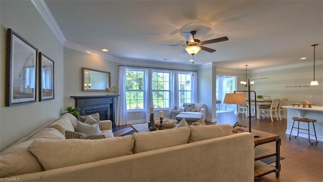 living room with ornamental molding, ceiling fan with notable chandelier, and dark wood-type flooring