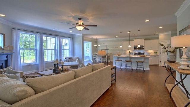 living room featuring ceiling fan, dark hardwood / wood-style floors, and ornamental molding