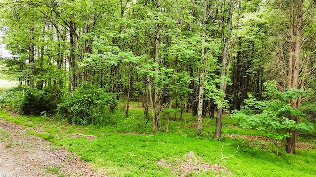 0 Eden Rd, Stoneville, NC 27048