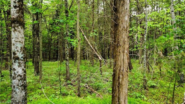 0 Eden Rd, Stoneville, NC 27048