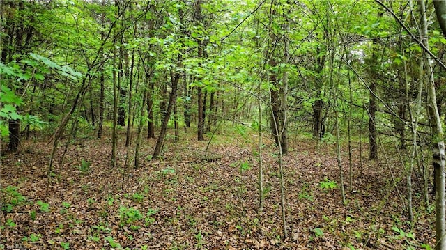 0 Eden Rd, Stoneville, NC 27048