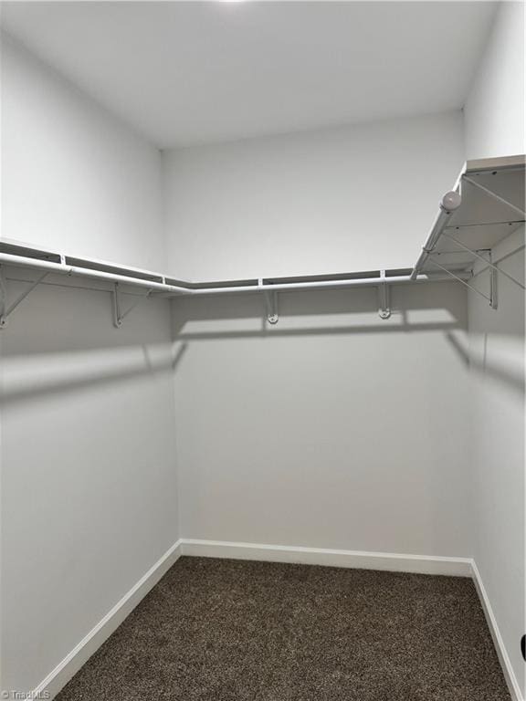 spacious closet with dark carpet