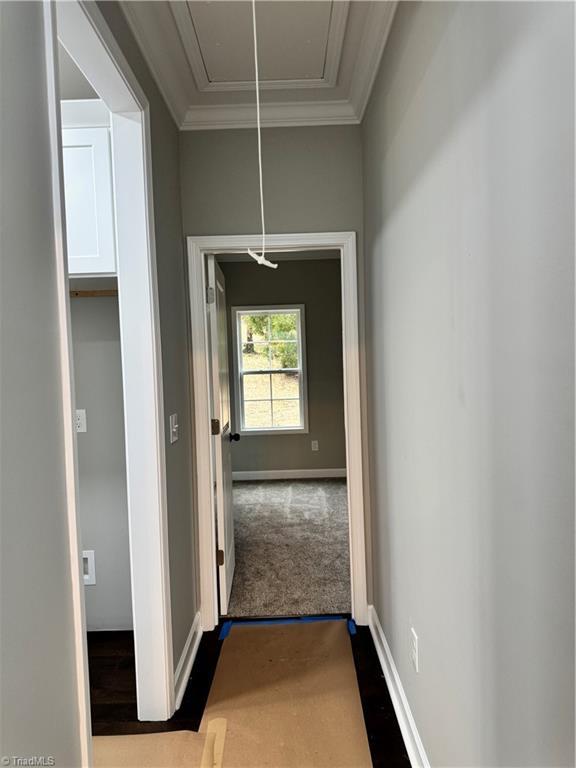 doorway to outside featuring ornamental molding and carpet