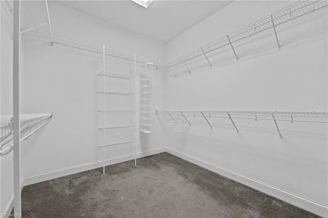 2014 Muirfield Ct, Elon, NC 27244 - walk in closet featuring dark colored carpet