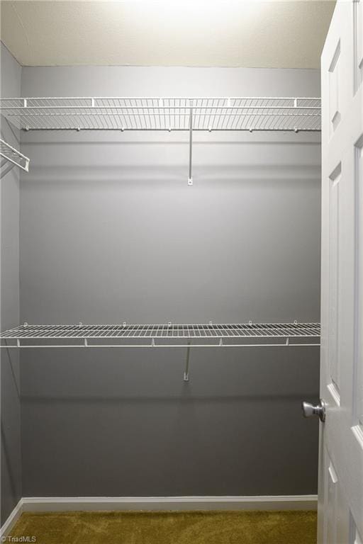 walk in closet with dark colored carpet