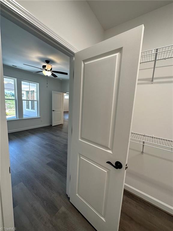 corridor with dark hardwood / wood-style flooring