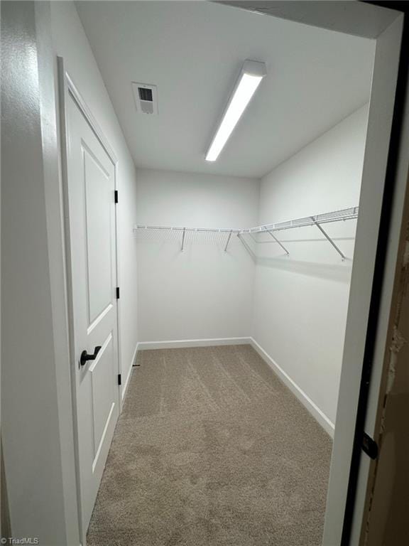 walk in closet with carpet flooring