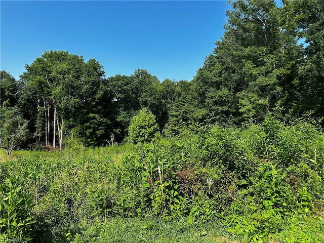 TBD Walker Ln, Millers Creek, NC 28651