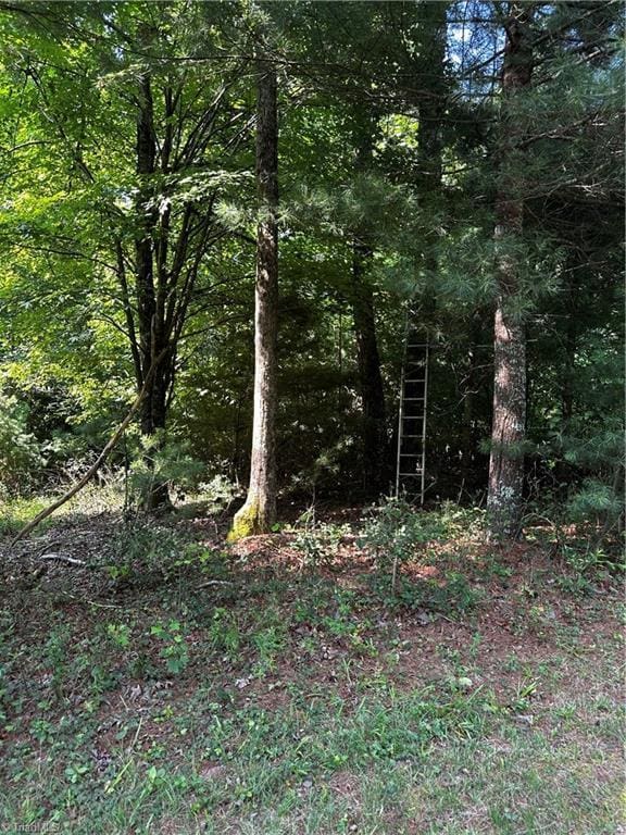 TBD Walker Ln, Millers Creek, NC 28651