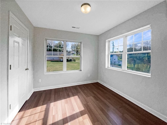 empty room featuring plenty of natural light and wood-type flooring