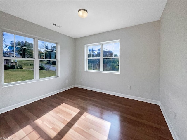 empty room featuring wood-type flooring and a wealth of natural light