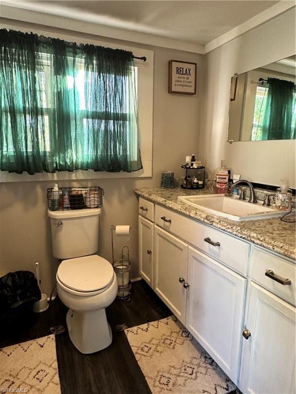 bathroom featuring vanity, toilet, and hardwood / wood-style floors