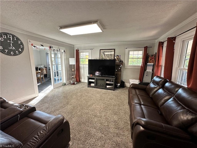 carpeted living room featuring crown molding and a textured ceiling