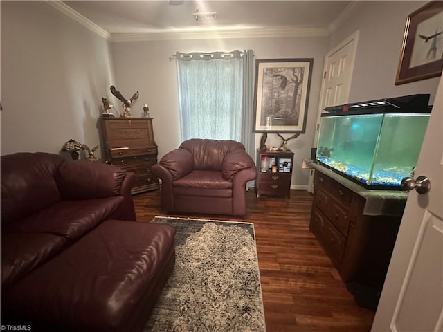 5244 Old Plantation Cir, Winston-Salem, NC 27104 - living area with dark wood-type flooring, crown molding, and baseboards