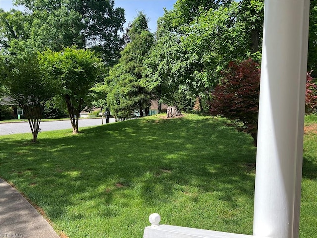 209 Cedar Ln, North Wilkesboro, NC 28659 - view of grassy yard