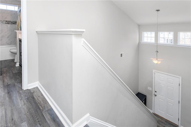 stairway featuring hardwood / wood-style floors