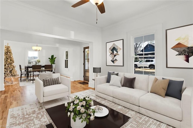 living room with ceiling fan with notable chandelier, light hardwood / wood-style flooring, a healthy amount of sunlight, and crown molding