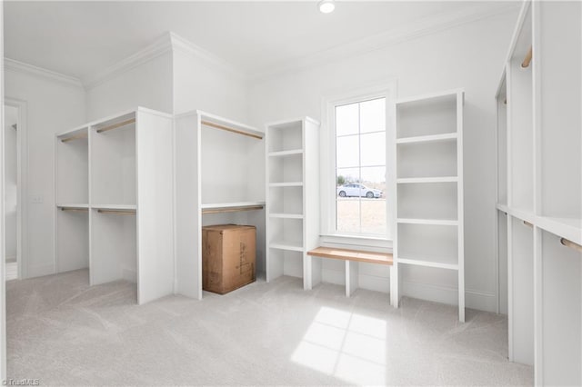 spacious closet featuring carpet