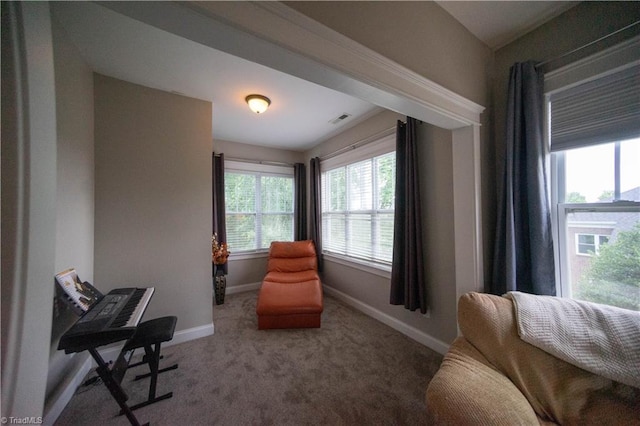 living area with carpet floors