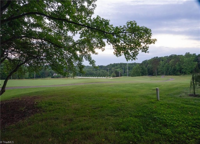 view of community featuring a lawn