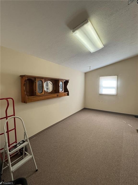 interior space featuring carpet flooring, a textured ceiling, baseboards, and vaulted ceiling