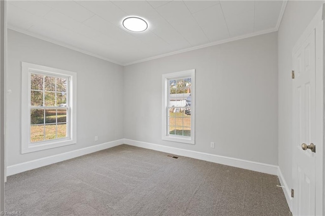 carpeted empty room with a wealth of natural light and crown molding