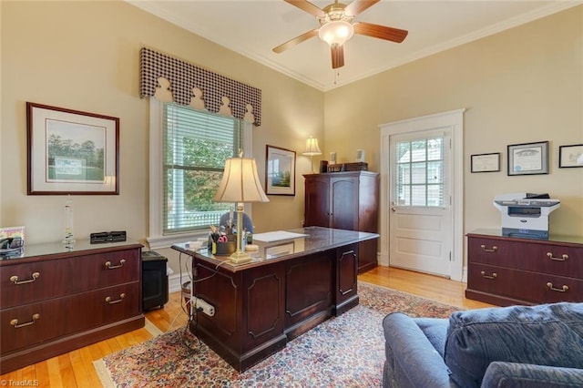 521 Patrick St, Eden, NC 27288 - office area with ceiling fan, light wood finished floors, and crown molding