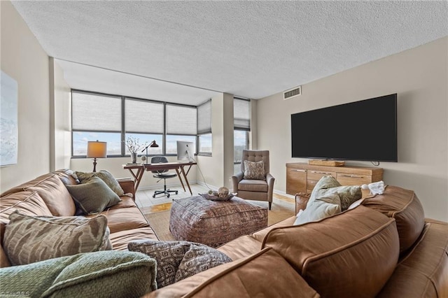 living room featuring a textured ceiling