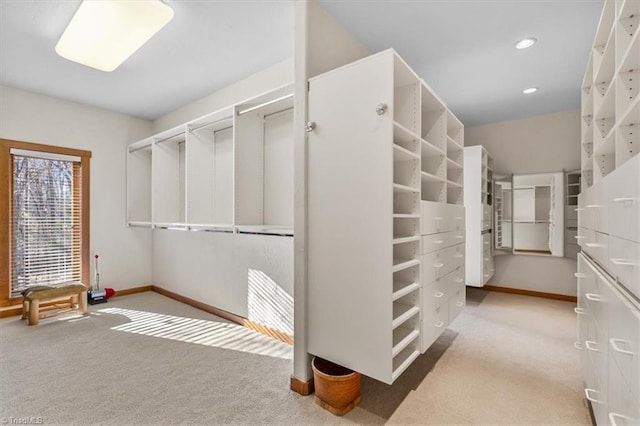 spacious closet featuring carpet