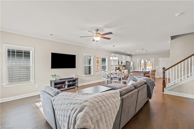 living room featuring ceiling fan with notable chandelier, dark hardwood / wood-style flooring, and crown molding