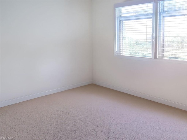 empty room featuring healthy amount of natural light, carpet flooring, and baseboards
