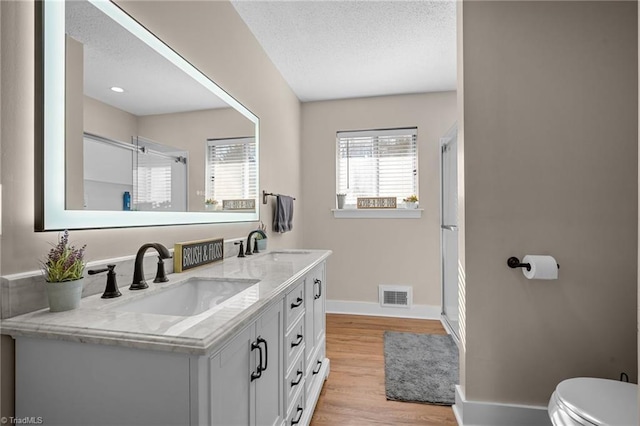 bathroom with vanity, toilet, wood-type flooring, and a textured ceiling