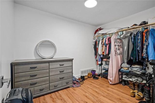 spacious closet with wood-type flooring