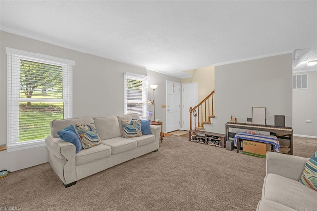 5001 Robert Andrew Rd, Greensboro, NC 27406 - carpeted living room featuring plenty of natural light, stairs, crown molding, and a textured ceiling