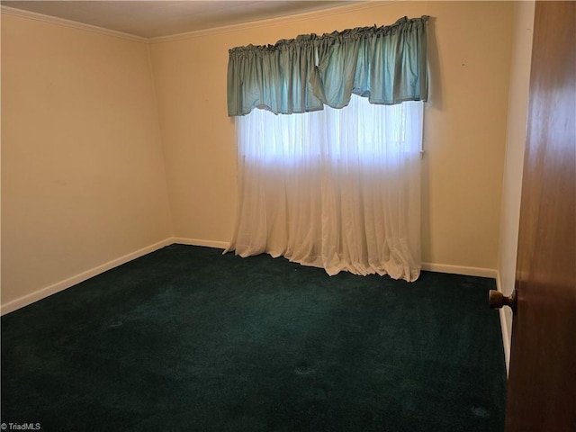 210 Grinton Ave, Wilkesboro, NC 28697 - carpeted empty room with baseboards and ornamental molding