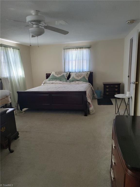 210 Grinton Ave, Wilkesboro, NC 28697 - bedroom featuring light colored carpet, multiple windows, and a ceiling fan