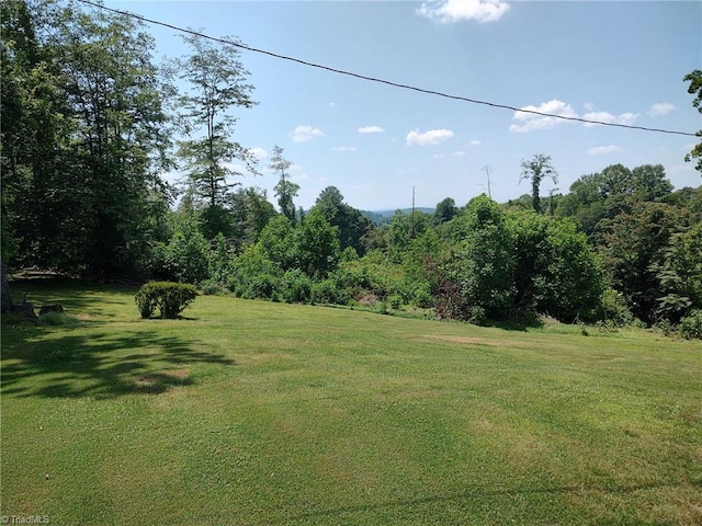 210 Grinton Ave, Wilkesboro, NC 28697 - view of grassy yard