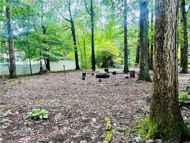 view of yard featuring a shed