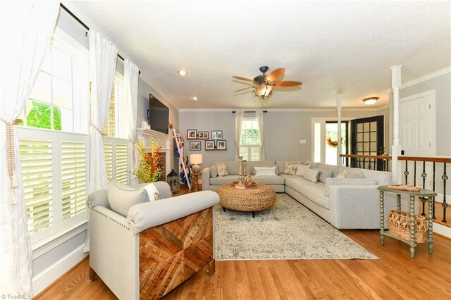 living room with light hardwood / wood-style flooring, ceiling fan, ornamental molding, and a healthy amount of sunlight