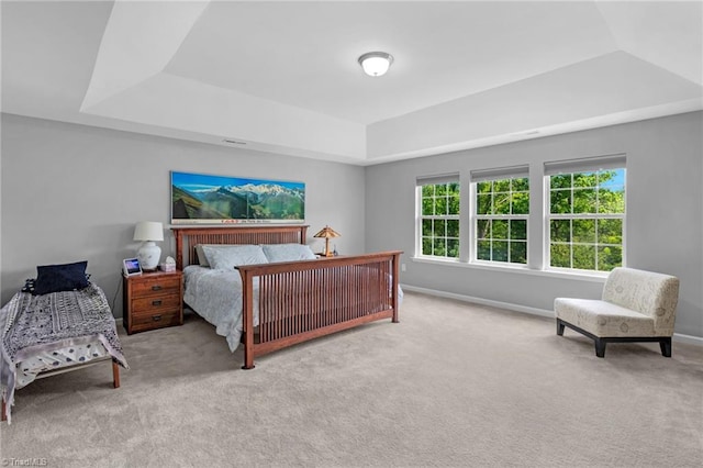1934 Rubywood St, Greensboro, NC 27405 - bedroom with baseboards, carpet floors, and a tray ceiling