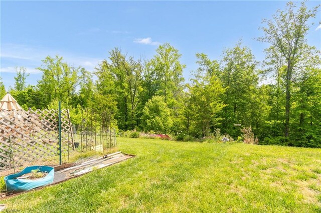 1934 Rubywood St, Greensboro, NC 27405 - view of yard