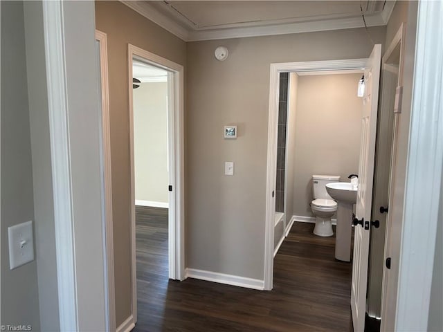 hallway featuring crown molding and dark wood-type flooring