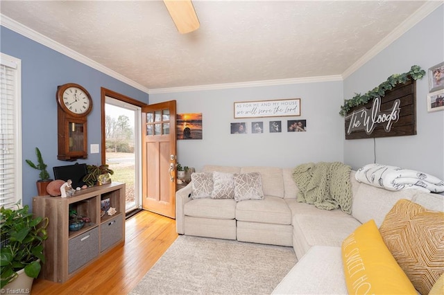 living room with ornamental molding and light hardwood / wood-style floors