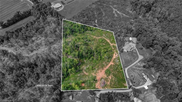 00 Roberson Ln, Reidsville NC, 27320 land for sale